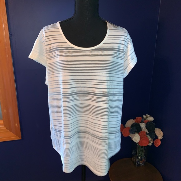Apt. 9 Tops - NWT Apt9 white striped semi sheer blouse XL